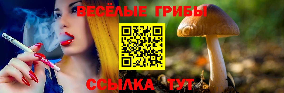 Галлюциногенные грибы мицелий  Вход с VPN  Галлюциногенные грибы GOLDEN TEACHER  наркотики  Великий Устюг 